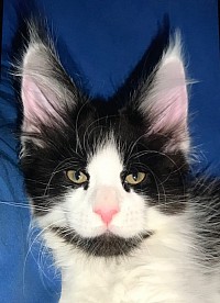 Photo above 3 months old...photos below 7 months old